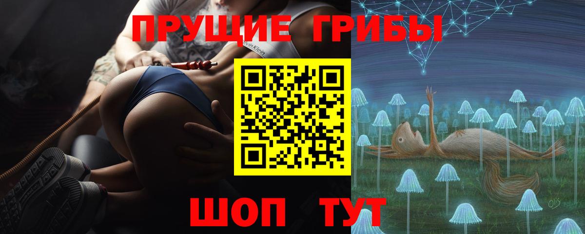 Псилоцибиновые грибы Cubensis Урай