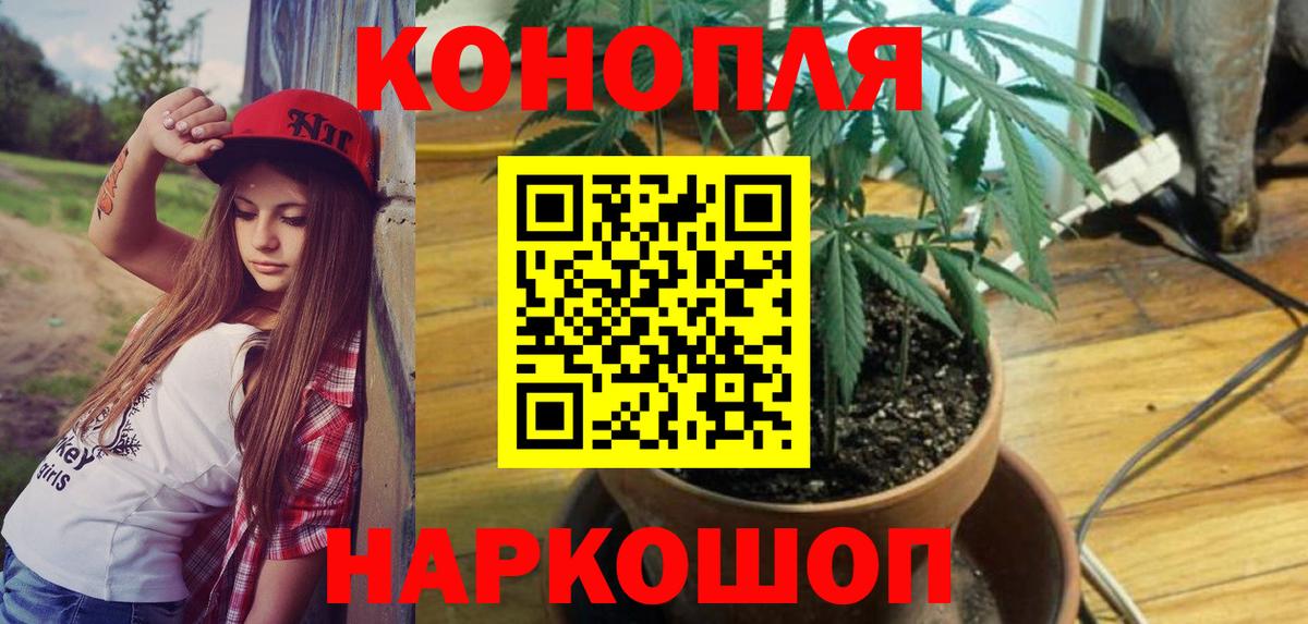 Конопля White Widow  Вход с VPN  Каннабис Amnesia  Урай  Марихуана планчик 